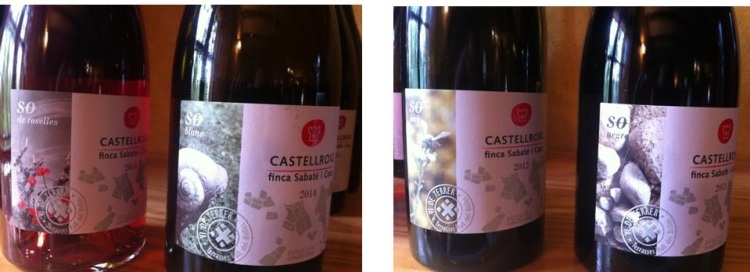 Castellroig 2015 - etiquetas - packandwine